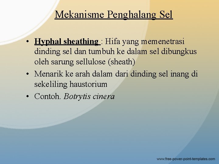 Mekanisme Penghalang Sel • Hyphal sheathing : Hifa yang memenetrasi dinding sel dan tumbuh