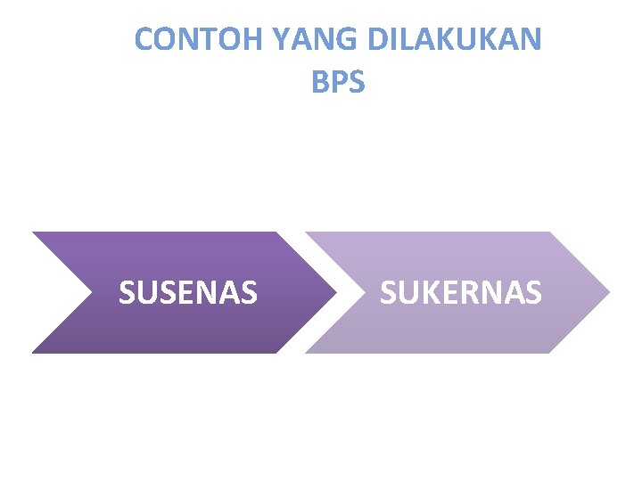CONTOH YANG DILAKUKAN BPS SUSENAS SUKERNAS 