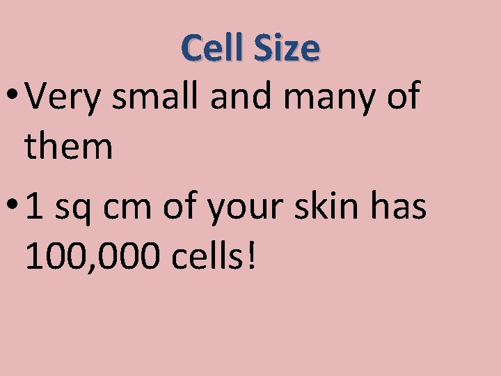 Cell Size • Very small and many of them • 1 sq cm of