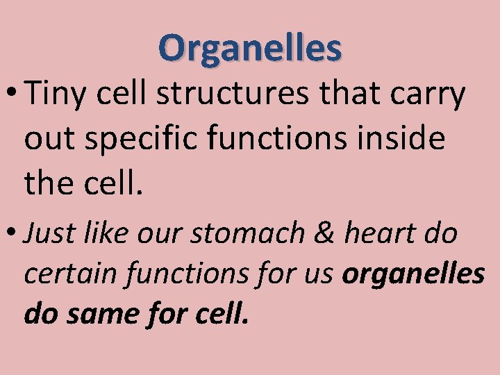 Organelles • Tiny cell structures that carry out specific functions inside the cell. •