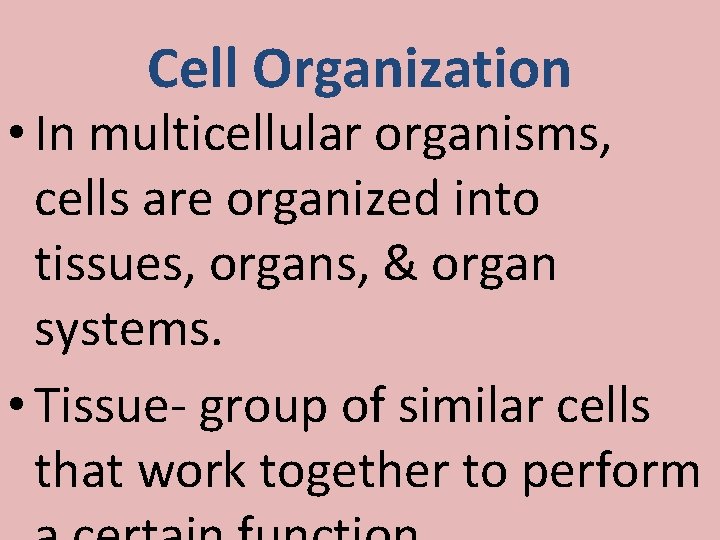 Cell Organization • In multicellular organisms, cells are organized into tissues, organs, & organ