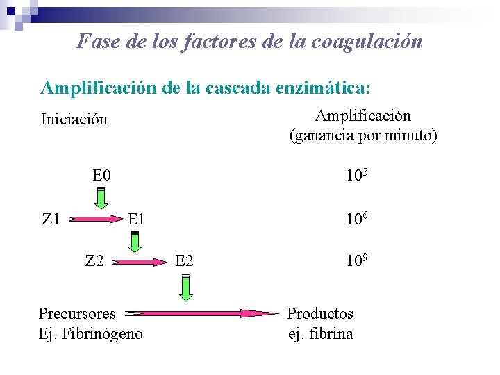 Fase de los factores de la coagulación Amplificación de la cascada enzimática: Amplificación (ganancia
