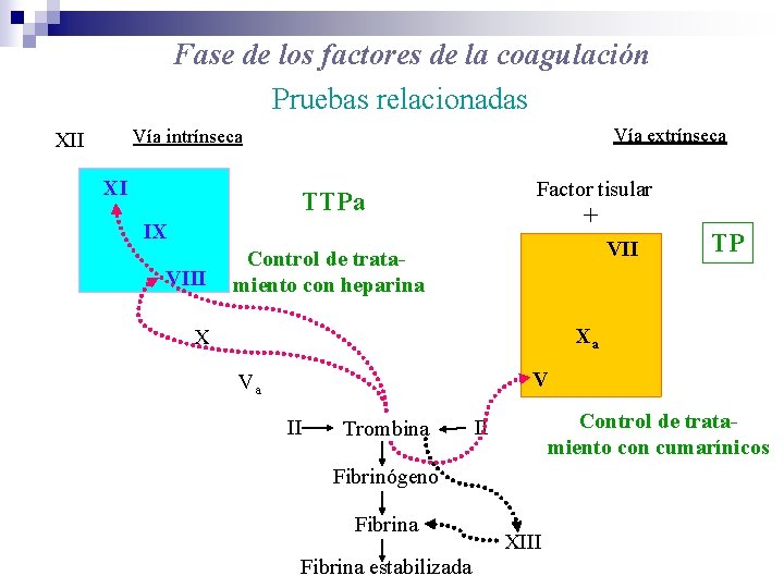 Fase de los factores de la coagulación Pruebas relacionadas Vía extrínseca Vía intrínseca XII