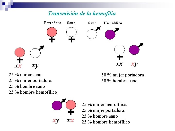 Transmisión de la hemofilia Portadora xx Sana Sano Hemofílico xx xy 25 % mujer