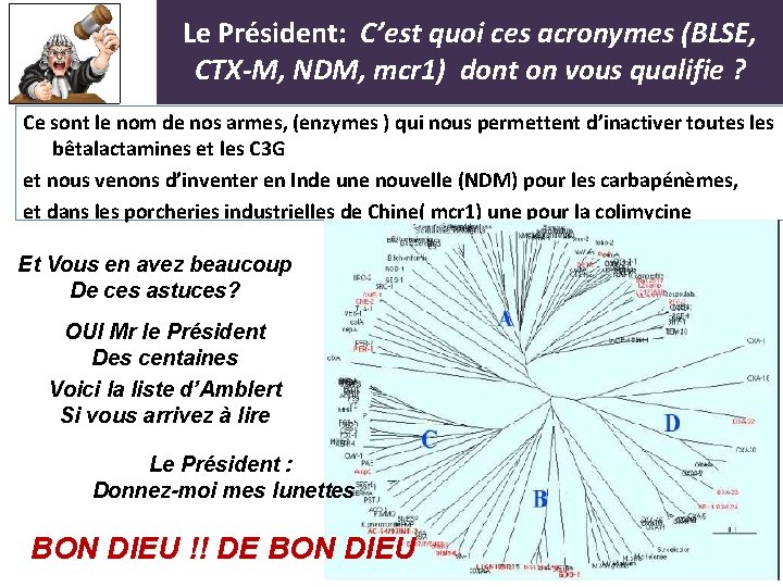 Le Président: C’est quoi ces acronymes (BLSE, CTX-M, NDM, mcr 1) dont on vous