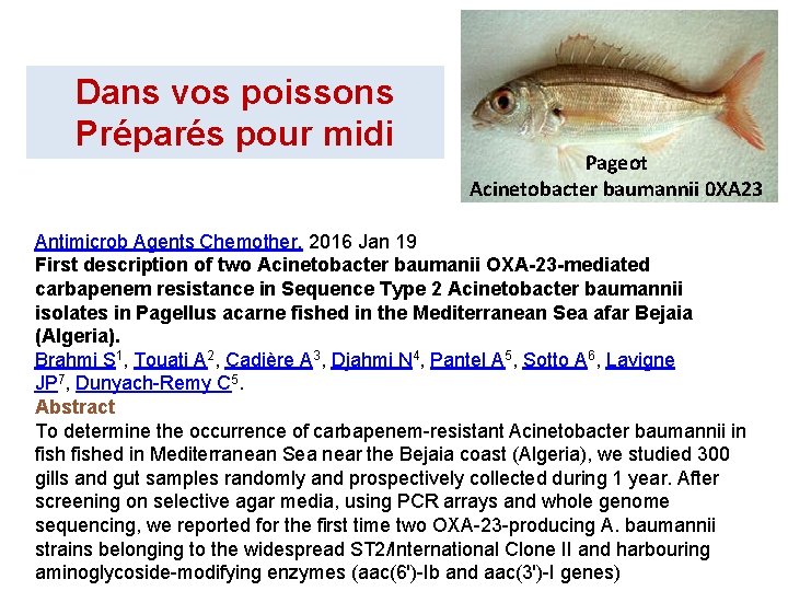 Dans vos poissons Préparés pour midi Pageot Acinetobacter baumannii 0 XA 23 Antimicrob Agents