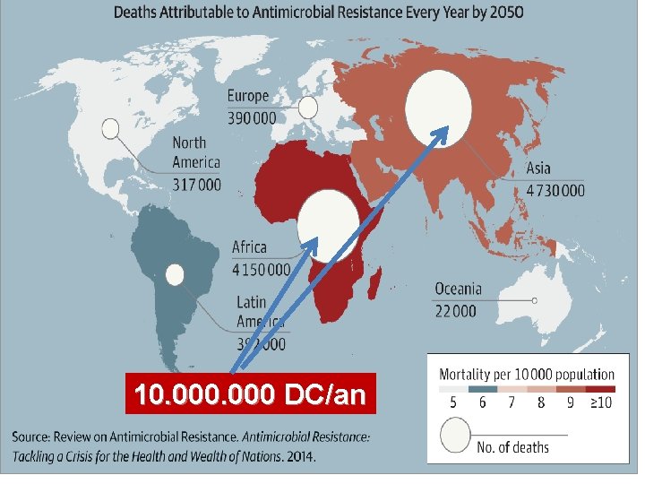 10. 000 DC/an 