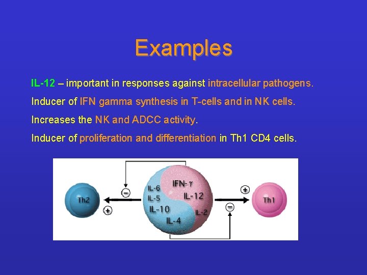 Examples IL-12 – important in responses against intracellular pathogens. Inducer of IFN gamma synthesis