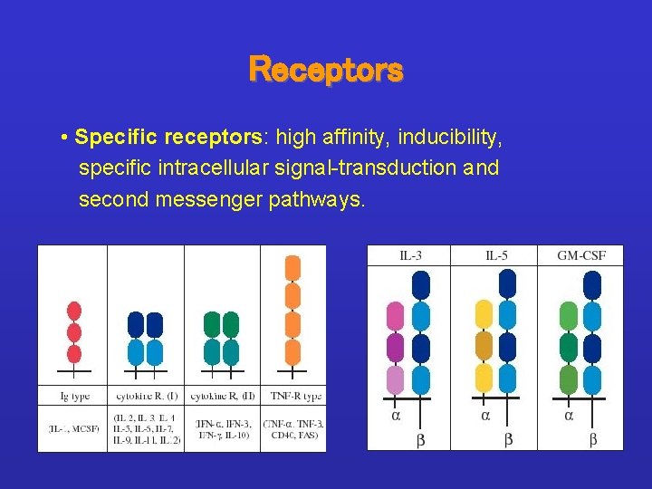 Receptors • Specific receptors: high affinity, inducibility, specific intracellular signal-transduction and second messenger pathways.