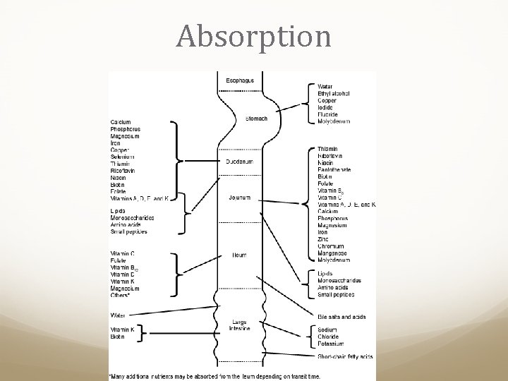 Absorption 