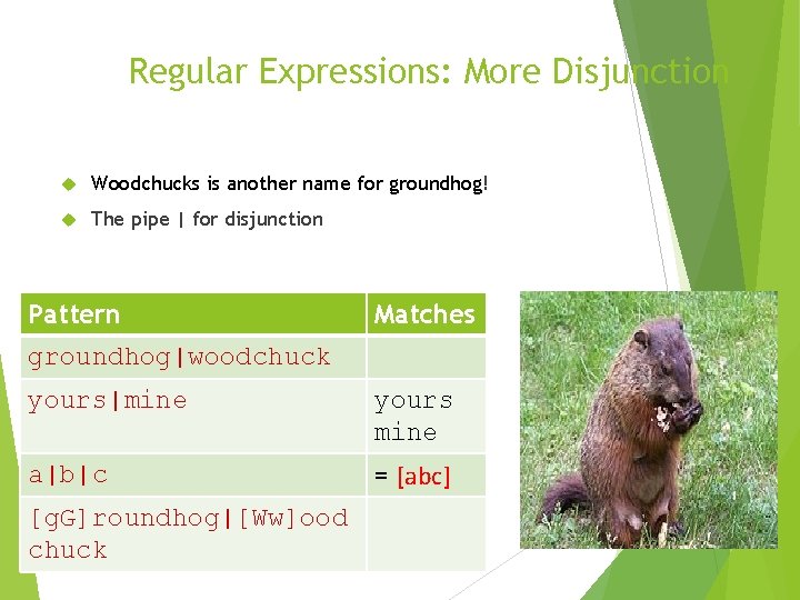 Regular Expressions: More Disjunction Woodchucks is another name for groundhog! The pipe | for