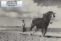 Va mab re goz an douar Evid ober goab anezañ. Mon fils, la terre