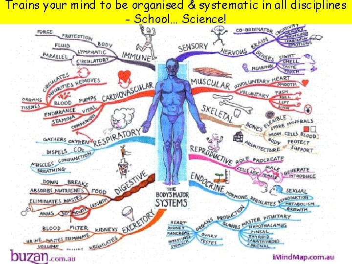 Trains your mind to be organised & systematic in all disciplines - School… Science!