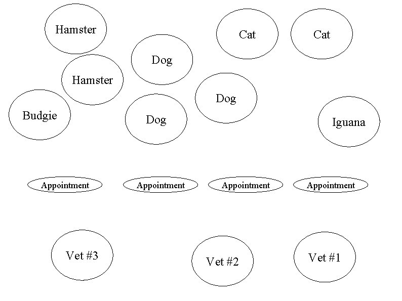 Hamster Cat Dog Hamster Dog Budgie Dog Appointment Vet #3 Appointment Iguana Appointment Vet