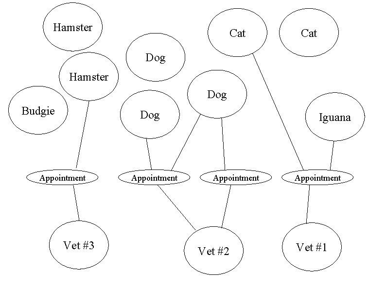 Hamster Cat Dog Hamster Dog Budgie Dog Appointment Vet #3 Appointment Iguana Appointment Vet