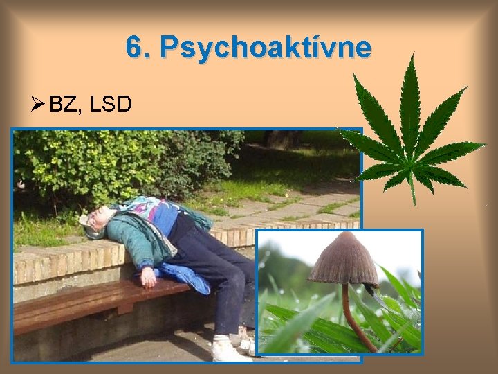 6. Psychoaktívne Ø BZ, LSD 
