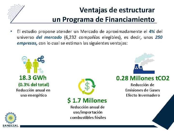 Ventajas de estructurar un Programa de Financiamiento • El estudio propone atender un Mercado