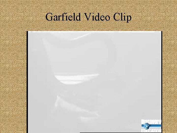 Garfield Video Clip 