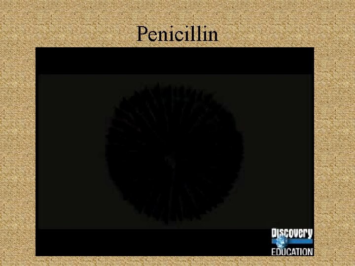 Penicillin 