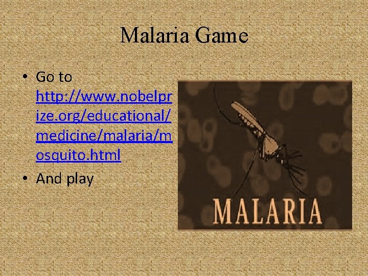 Malaria Game • Go to http: //www. nobelpr ize. org/educational/ medicine/malaria/m osquito. html •
