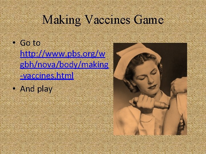 Making Vaccines Game • Go to http: //www. pbs. org/w gbh/nova/body/making -vaccines. html •
