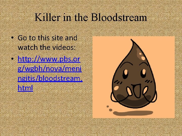 Killer in the Bloodstream • Go to this site and watch the videos: •