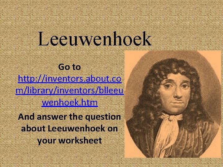Leeuwenhoek Go to http: //inventors. about. co m/library/inventors/blleeu wenhoek. htm And answer the question