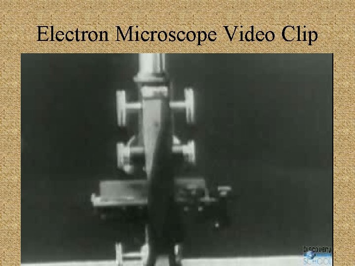 Electron Microscope Video Clip 