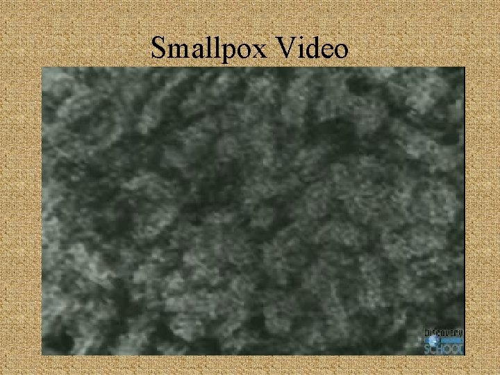 Smallpox Video 