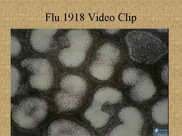 Flu 1918 Video Clip 