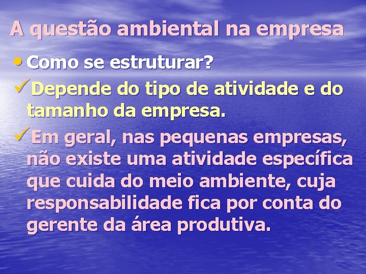 A questão ambiental na empresa • Como se estruturar? üDepende do tipo de atividade