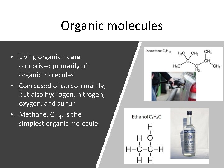 Organic molecules • Living organisms are comprised primarily of organic molecules • Composed of
