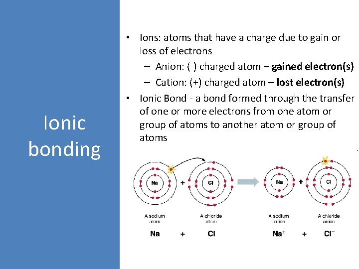 Ionic bonding • Ions: atoms that have a charge due to gain or loss