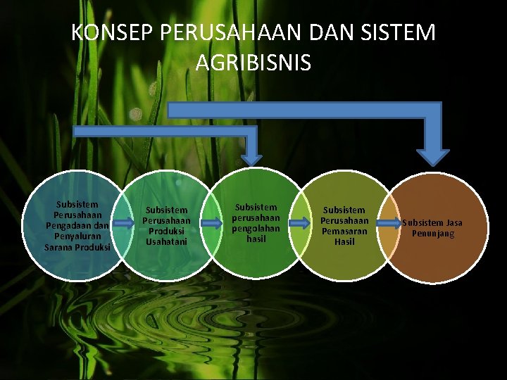 KONSEP PERUSAHAAN DAN SISTEM AGRIBISNIS Subsistem Perusahaan Pengadaan dan Penyaluran Sarana Produksi Subsistem Perusahaan