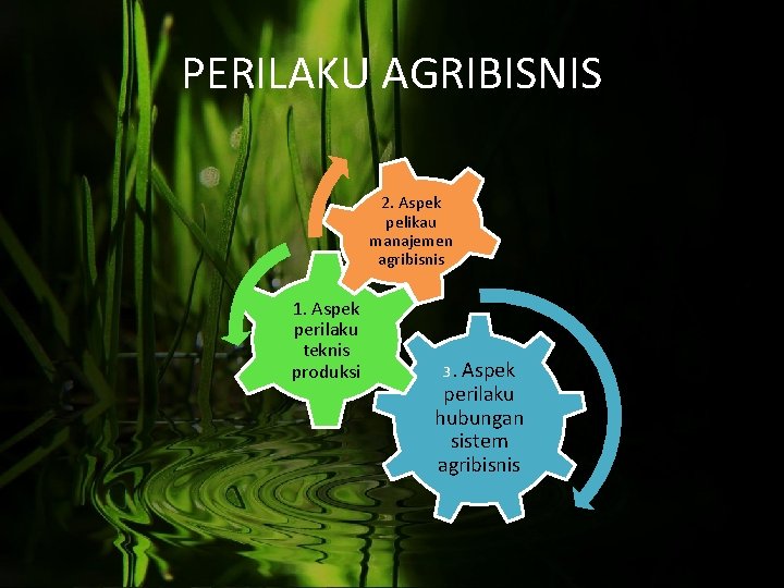 PERILAKU AGRIBISNIS 2. Aspek pelikau manajemen agribisnis 1. Aspek perilaku teknis produksi 3. Aspek