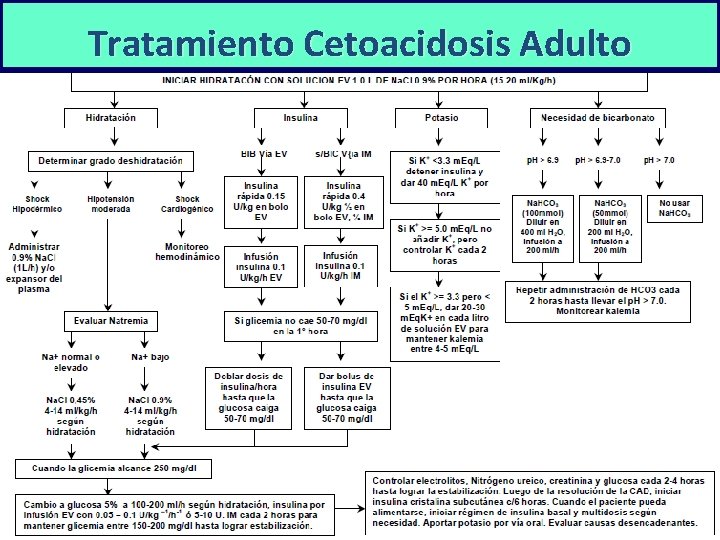 Tratamiento Cetoacidosis Adulto 
