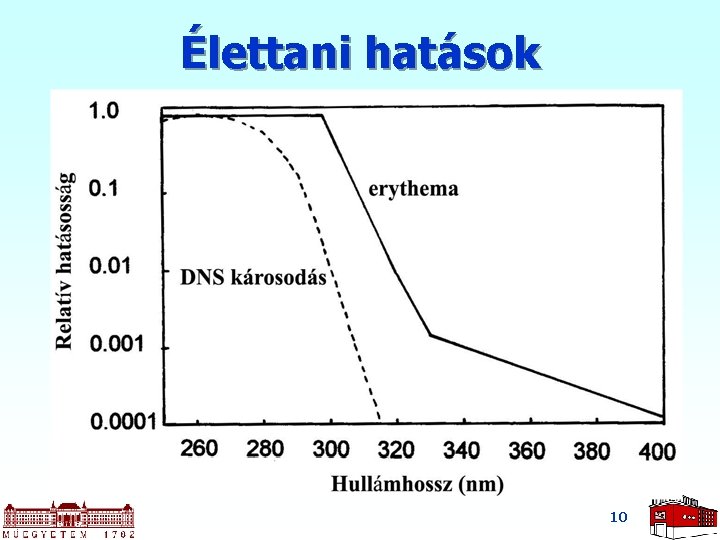 Élettani hatások 10 