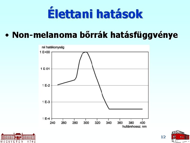 Élettani hatások • Non-melanoma bőrrák hatásfüggvénye 12 