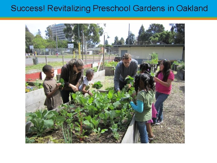 Success! Revitalizing Preschool Gardens in Oakland 