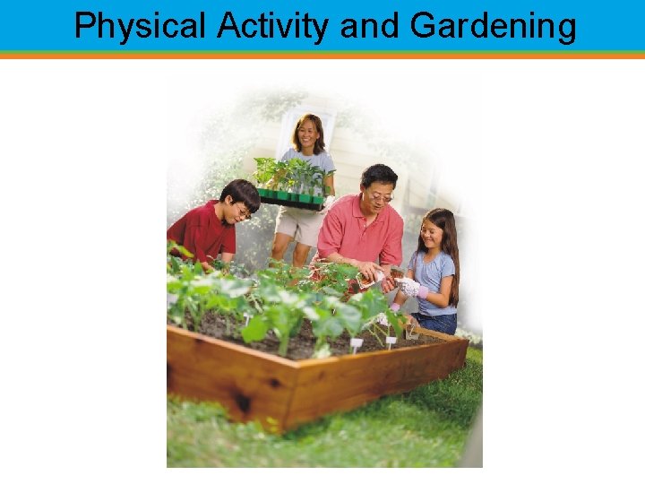 Physical Activity and Gardening 