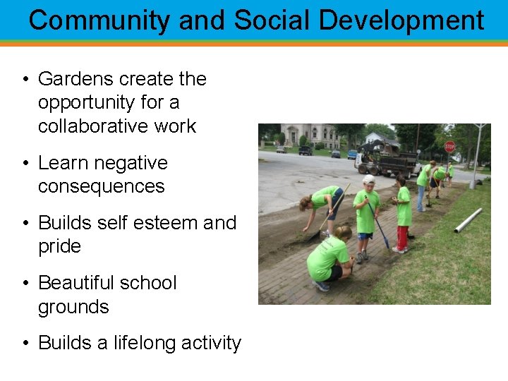 Community and Social Development • Gardens create the opportunity for a collaborative work •