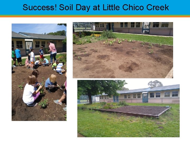 Success! Soil Day at Little Chico Creek 