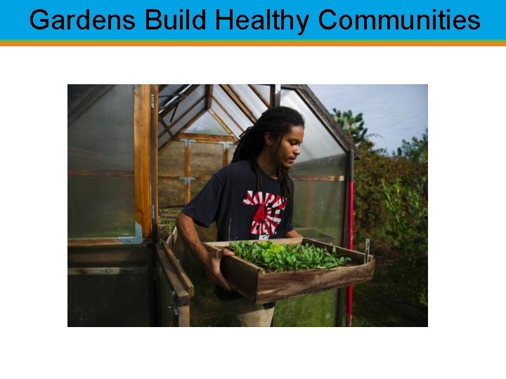 Gardens Build Healthy Communities 