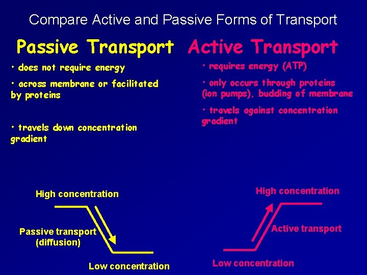 Compare Active and Passive Forms of Transport Passive Transport Active Transport • does not