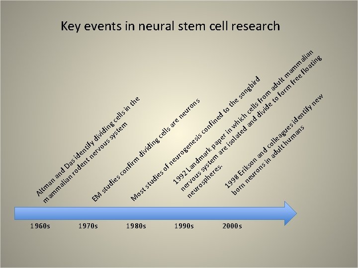 Key events in neural stem cell research an g i l a m atin