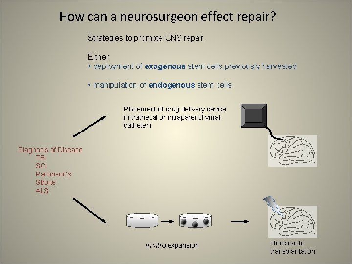 How can a neurosurgeon effect repair? Strategies to promote CNS repair. Either • deployment