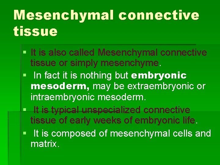 Mesenchymal connective tissue § It is also called Mesenchymal connective tissue or simply mesenchyme.