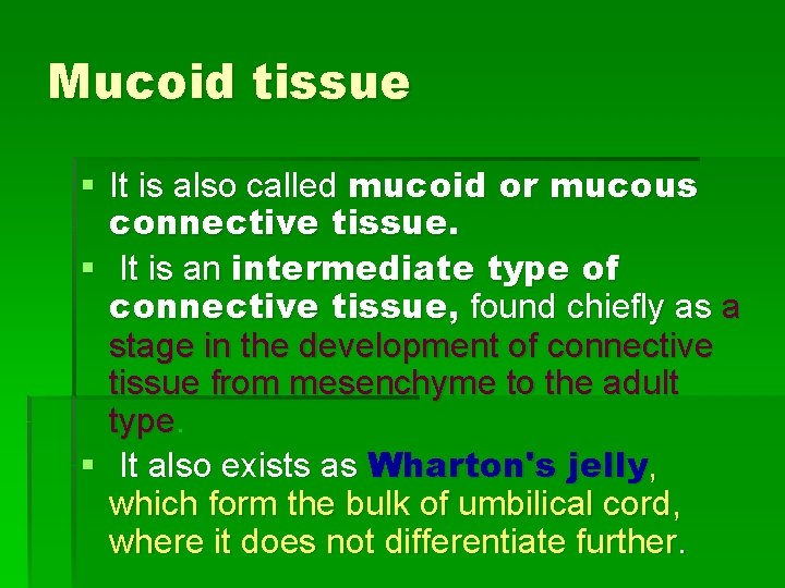 Mucoid tissue § It is also called mucoid or mucous connective tissue. § It