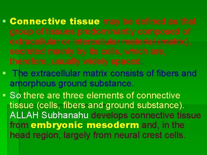 § Connective tissue may be defined as that group of tissues predominantly composed of