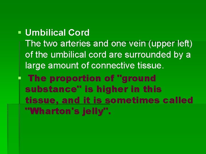 § Umbilical Cord The two arteries and one vein (upper left) of the umbilical